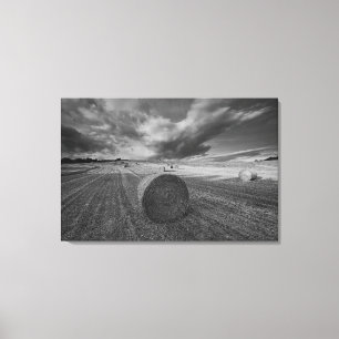 B&W Gersten-Feld 2 Leinwanddruck