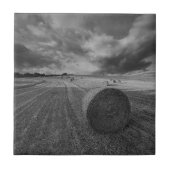B&W Gersten-Feld Fliese (Vorderseite)