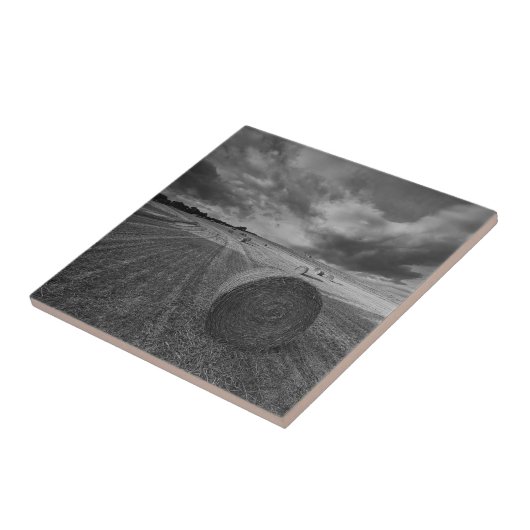 B&W Gersten-Feld Fliese (Seite)