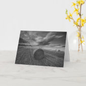 B&W Gersten-Feld Karte (Gelbe Blume)
