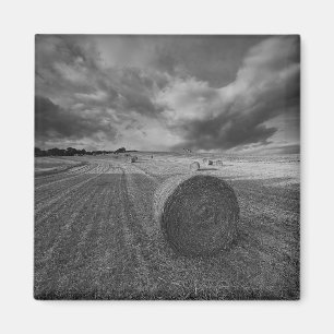 B&W Gersten-Feld Magnet