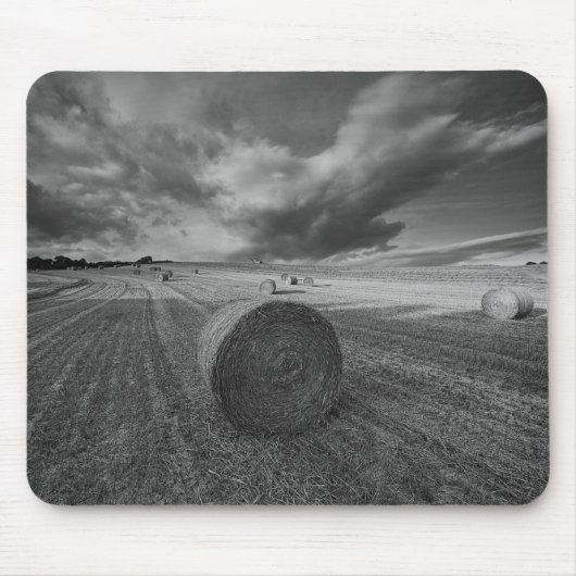 B&W Gersten-Feld Mousepad (Vorne)