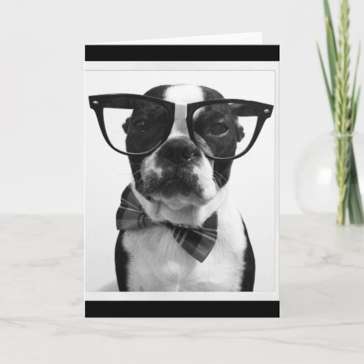 B&W Hipster Nerd Boston Terrier Karte (Vorderseite)