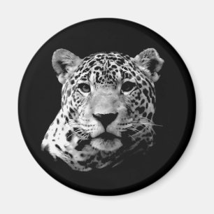 B&W Jaguar Magnet