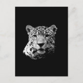 B&W Jaguar Postkarte (Vorderseite)