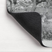 B&W Joshua Baum-Nationalpark 3 Mousepad (Ecke)