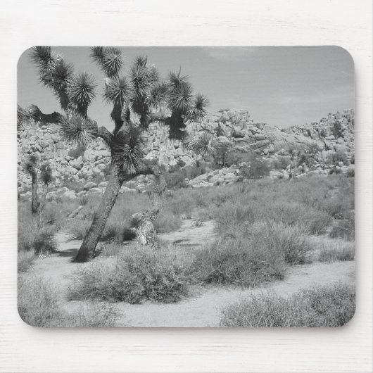B&W Joshua Baum-Nationalpark 3 Mousepad (Vorne)