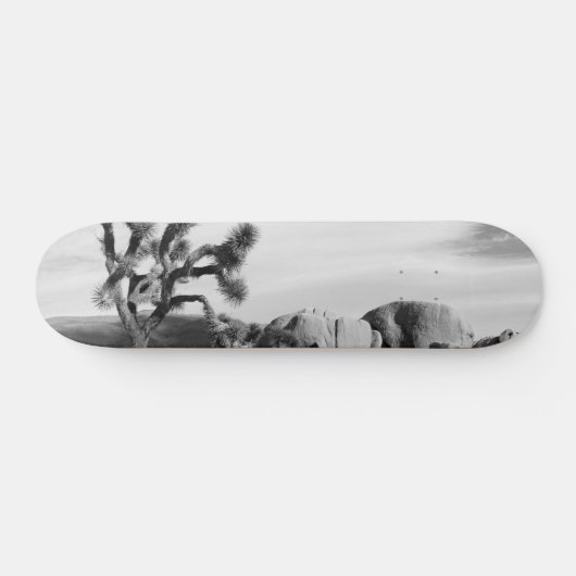 B&W Joshua Baum-Nationalpark Skateboard (Horizontal)
