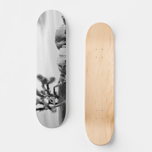 B&W Joshua Baum-Nationalpark Skateboard (Vorderseite)