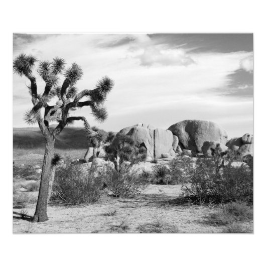 B&W Joshua Tree Nationalpark Fotodruck (Vorne)