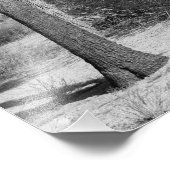 B&W Joshua Tree Nationalpark Fotodruck (Ecke)