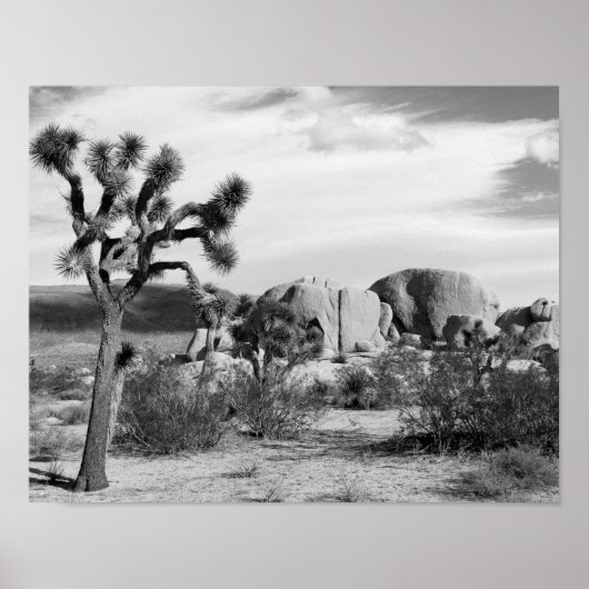B&W Joshua Tree Nationalpark Poster (Vorne)