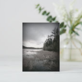 B&W Lake Marsh Landschaft Postkarte (Stehend Vorderseite)