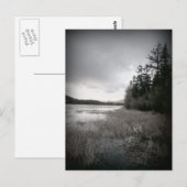 B&W Lake Marsh Landschaft Postkarte (Vorne/Hinten)