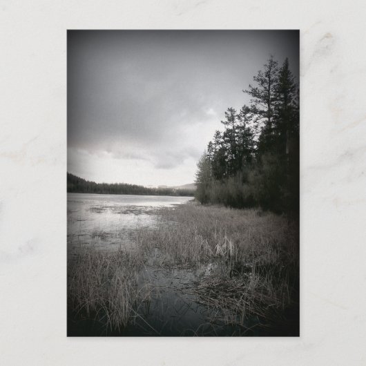 B&W Lake Marsh Landschaft Postkarte (Vorderseite)