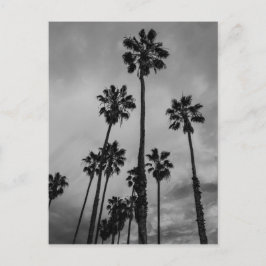 B&W Los Angeles Palmen Postkarte