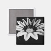 B&W MAGNET (Vorderseite/Rückseite)