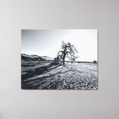 B+W Namib Wüstenbaum Leinwanddruck (Vorderseite)