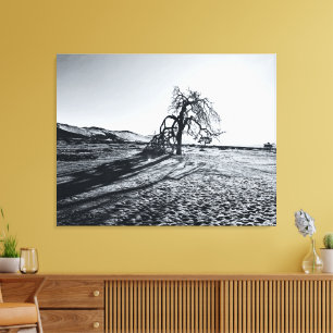 B+W Namib Wüstenbaum Leinwanddruck
