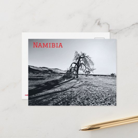 B+W Namib Wüstenbaum Postkarte (Vorderseite/Rückseite Beispiel)