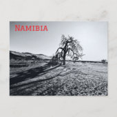 B+W Namib Wüstenbaum Postkarte (Vorderseite)