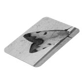 B&W - Ophiusa tirhaca, der grüne Drache Magnet (Linke Seite)