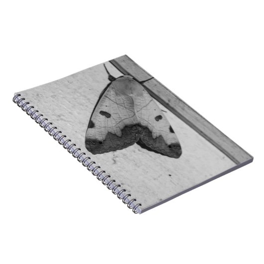 B&W - Ophiusa tirhaca, der grüne Drache Notizblock (Rechte Seite)