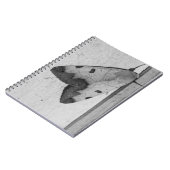 B&W - Ophiusa tirhaca, der grüne Drache Notizblock (Linke Seite)