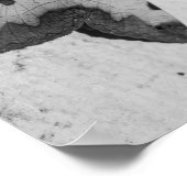 B&W - Ophiusa tirhaca, der grüne Drache Poster (Ecke)