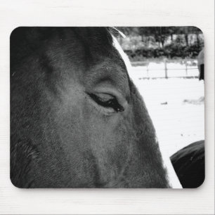 B&W Pferd Mousepad