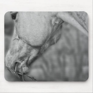 B&W Pferdekopf ~ Mousepad