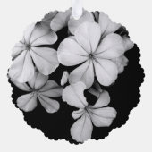 b&w Plumbago Ornament Karte (Rückseite)