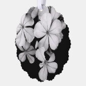 b&w Plumbago Ornament Karte (Links)