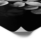 B&W POSTER (Ecke)