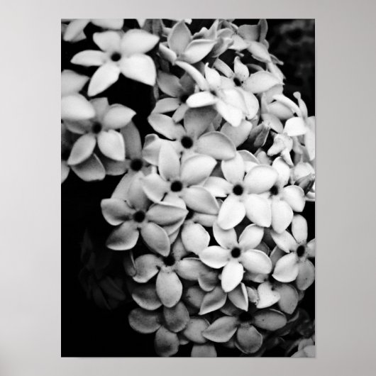B&W POSTER (Vorne)