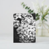 B&W POSTKARTE (Stehend Vorderseite)