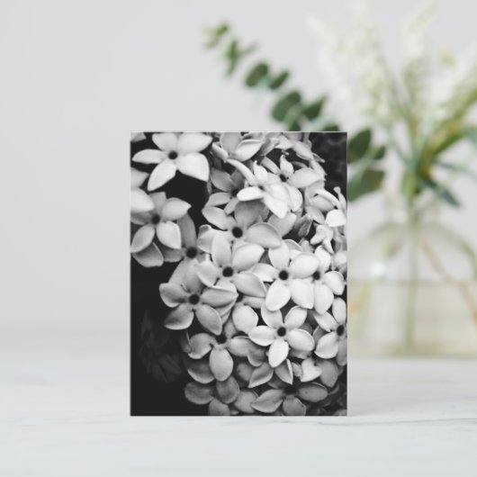 B&W POSTKARTE (Stehend Vorderseite)