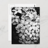 B&W POSTKARTE (Vorne/Hinten)