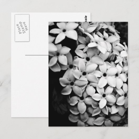 B&W POSTKARTE (Vorne/Hinten)