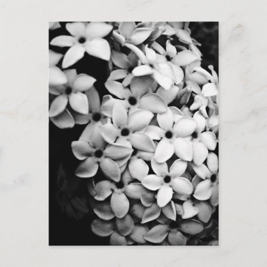 B&W POSTKARTE (Vorderseite)