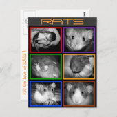 B&W RATS Collage Postcard Postkarte (Vorne/Hinten)