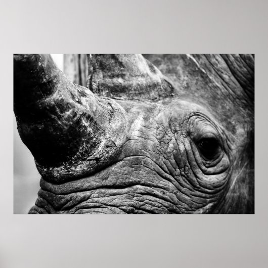 B&W Rhino Poster (Vorne)