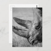 B&W Rhinoceros Postkarte (Vorne/Hinten)