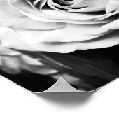B&W-Rose beschleunigt Poster (Ecke)