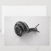 B&W Schnecke Briefpapier (Vorne/Hinten)
