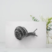 B&W Schnecke Briefpapier (Stehend Vorderseite)