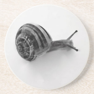 B&W Schnecke Sandstein Untersetzer