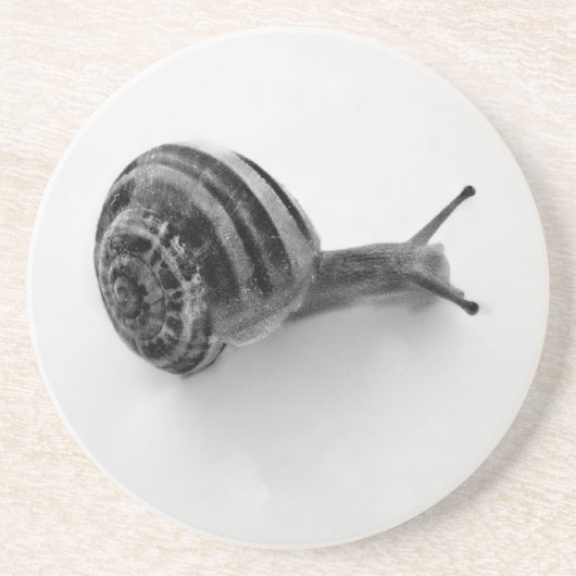 B&W Schnecke Sandstein Untersetzer (Vorne)