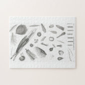 B&W Science Microbiology Magnification Microscopic Puzzle (Horizontal)