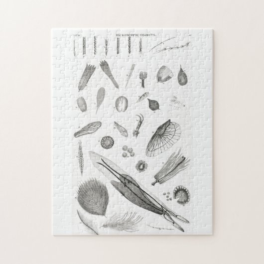B&W Science Microbiology Magnification Microscopic Puzzle (Vertikal)